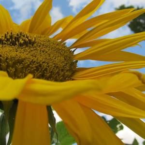 Meet your Posher, Abigail